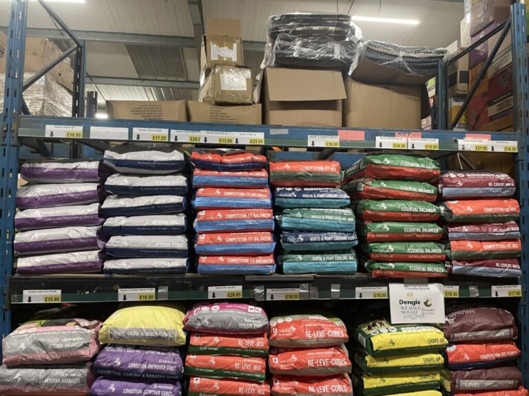 Website (OLD) Gallery Image (1)