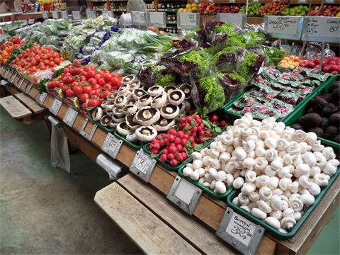 Website (OLD) Gallery Image (1)