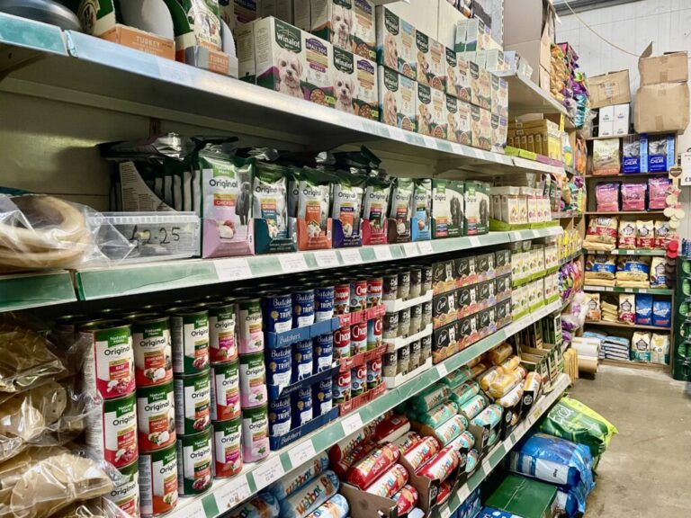 Website (OLD) Gallery Image (12)