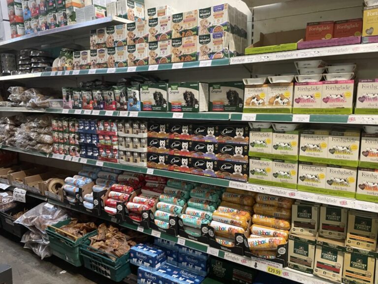 Website (OLD) Gallery Image (13)