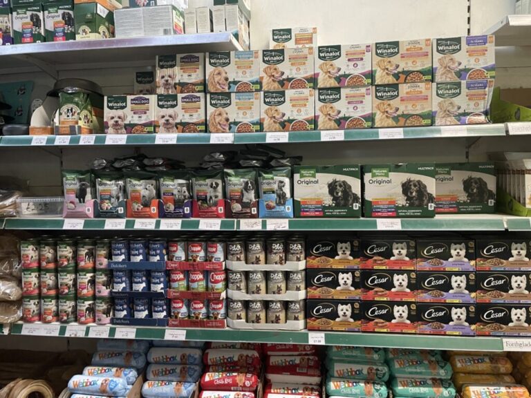 Website (OLD) Gallery Image (14)