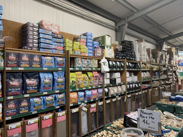 Website (OLD) Gallery Image (15)