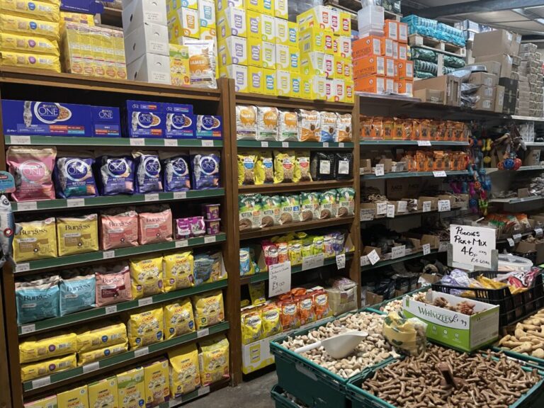 Website (OLD) Gallery Image (16)