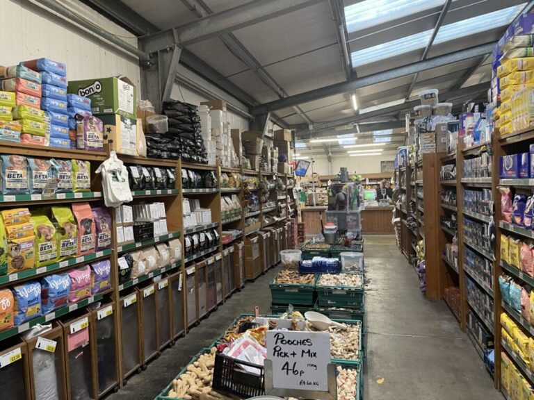 Website (OLD) Gallery Image (17)