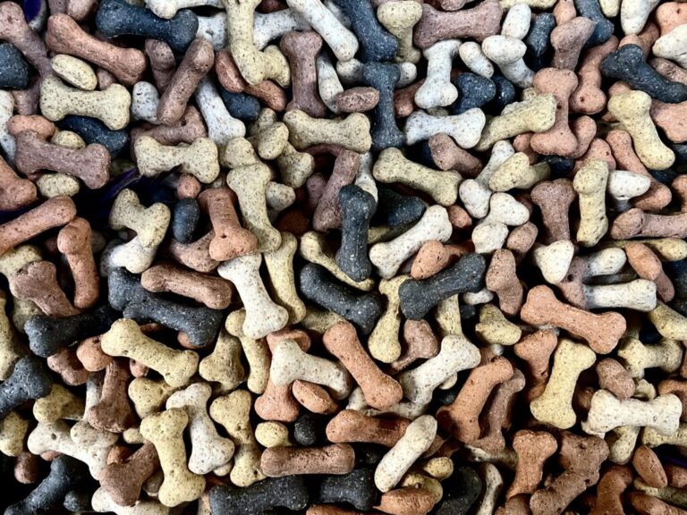 Website (OLD) Gallery Image (18)