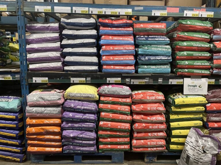 Website (OLD) Gallery Image (2)