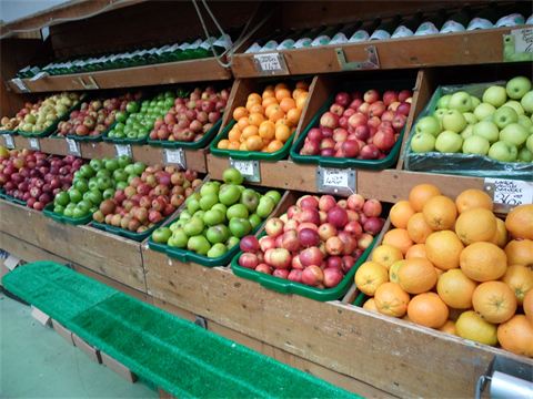 Website (OLD) Gallery Image (2)