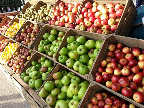 Website (OLD) Gallery Image (3)