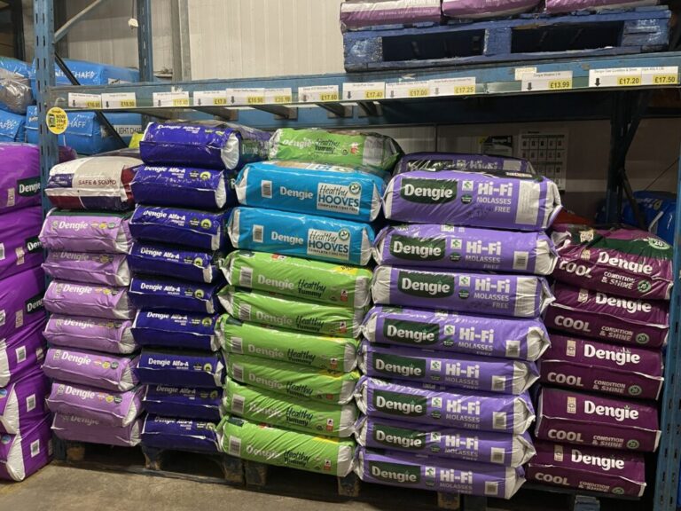 Website (OLD) Gallery Image (4)