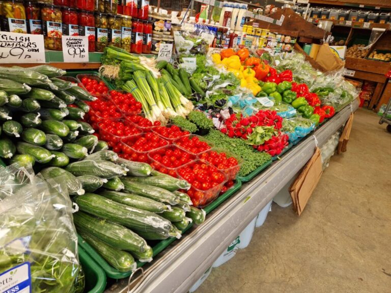 Website (OLD) Gallery Image (4)