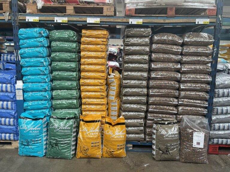 Website (OLD) Gallery Image (5)