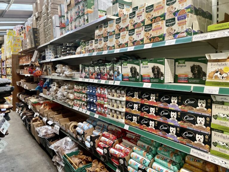 Website (OLD) Gallery Image (9)