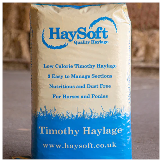 Haysoft Timothy