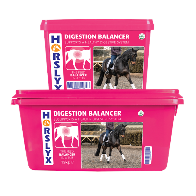 Horslyd Digestion Balancer