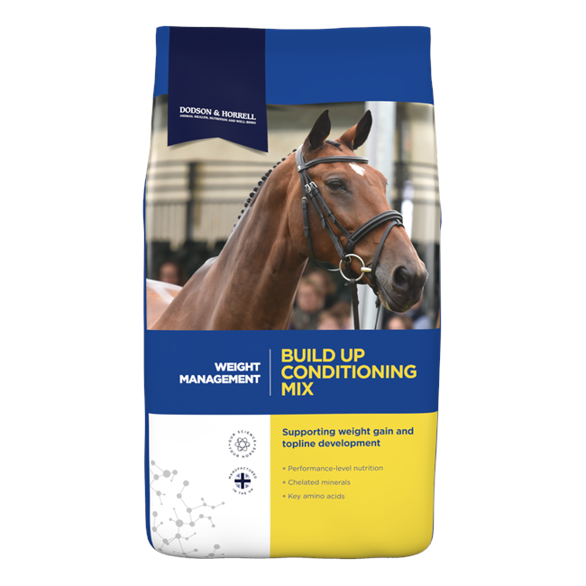 Dodson & Horrell Build Up Conditoning Mix 20Kg